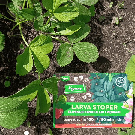Larva Stoper – pożyteczne nicienie na pędraki i opuchlaki 100 mln nicieni Vegano