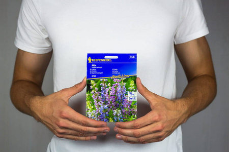 Łubin jednoroczny - Mieszanka – Kiepenkerl