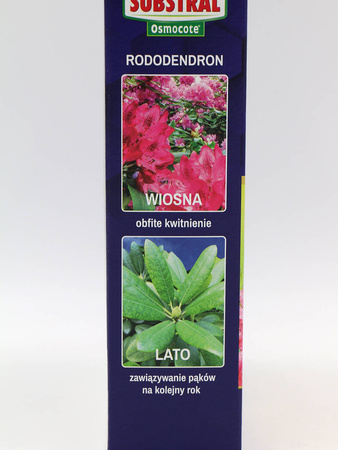 Osmocote 2w1 nawóz do hortensji i rododendronów – długodziałający (6 miesięcy) – 300 g Substral