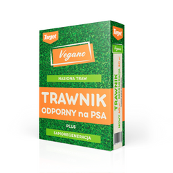 Trawnik odporny na psa – nasiona traw z mikrokoniczyną 1 kg Vegano
