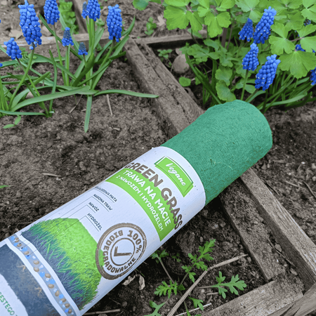 GreenGrass trawa na macie (rolka) z nawozem i hydrożelem 2 x 0,5 x 8 m (8 m²) Vegano