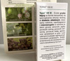 Topas 100 EC – Zwalcza Mączniaki – 5 ml Target