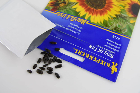 Słonecznik 'Ring of Fire' – Nasiona Kiepenkerl