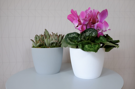 Osłonka Doniczka Ø300 mm Magnolia Eco Wood Jumper – Zielony Leśny – Lamela