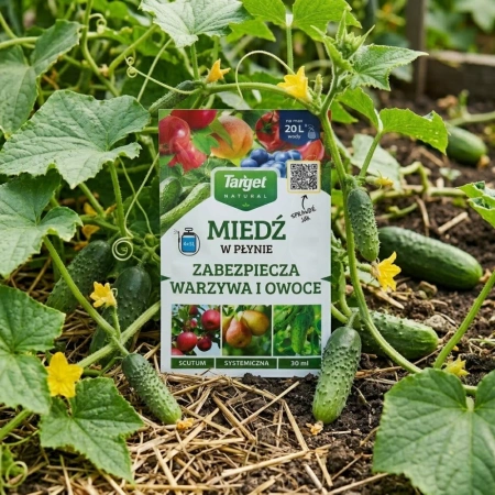 Scutum – Miedź w Płynie – 30 ml Target