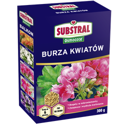 Nawóz do roślin balkonowych Burza Kwiatów Osmocote – 300 g Substral