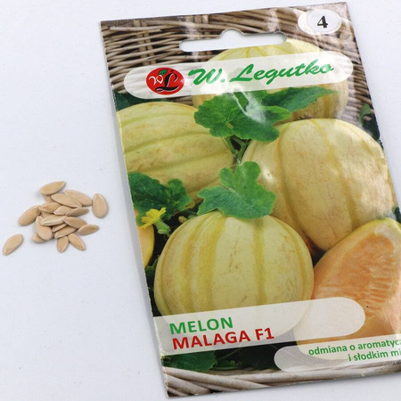 Melon ‘Malaga’ F1 – 0,5 g Legutko