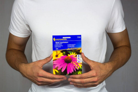 Jeżówka 'Roter Leuchtstern' – Purpurowa – Kiepenkerl