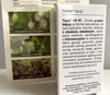 Topas 100 EC – Zwalcza Mączniaki – 5 ml Target