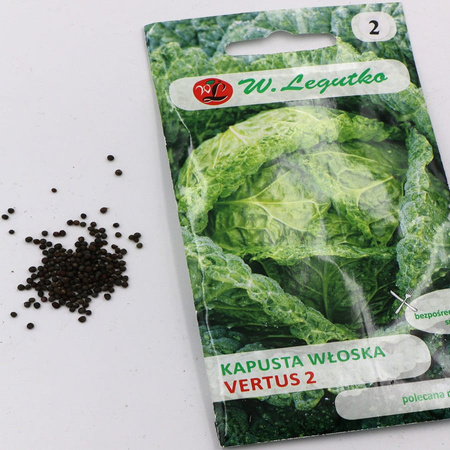 Kapusta Włoska Vertus 2 2 g Legutko