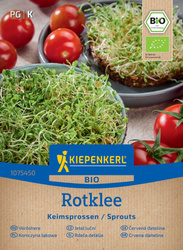 Koniczyna – Nasiona Na Kiełki – Kiepenkerl