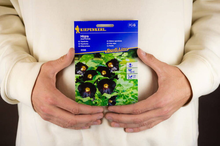 Malwa Ogrodowa 'Nigra' – Kiepenkerl