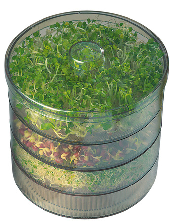 Kiełkownica – 3 Poziomy – Kiepenkerl