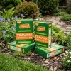 Trawnik odporny na psa – nasiona traw z mikrokoniczyną 4 kg Vegano