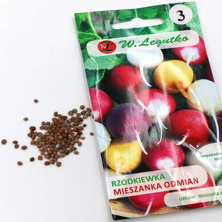 Rzodkiewka Mieszanka Odmian Kulistych – 10 g