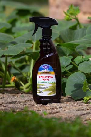 Stymulator wzrostu ze skrzypu polnego (ekstrakt) w sprayu – 500 ml Himal