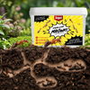 Ants Control – Granulat Na Mrówki – 3 kg Target