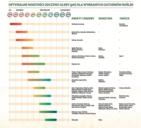 Zestaw Do Badania pH Gleby – Kwasomierz – Target