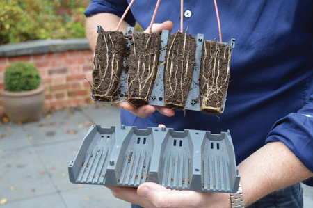 Otwierane Wielodoniczki – 28 komórek Garland