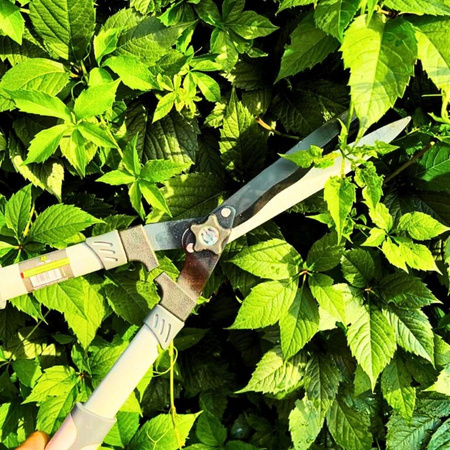 Nożyce do żywopłotu 21cm Green Star