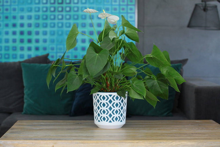 Osłonka Doniczka Ø255 mm Aztek – Czarno-Złota – Lamela