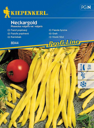Fasola Tyczna 'Neckargold' – Żółta – Kiepenkerl