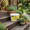 Ants Control – Granulat Na Mrówki – 3 kg Target