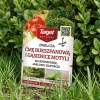 Lepinox Plus na ćmę bukszpanową, gąsienice, owocówki – 10 g Target