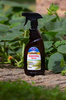 Stymulator wzrostu ze skrzypu polnego (ekstrakt) w sprayu – 500 ml Himal