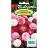 Stokrotka Wielkokwiatowa – Mix Kolorów – Legutko 