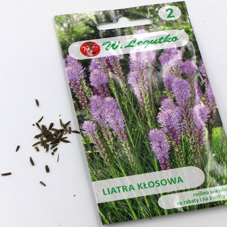 Liatra Kłosowa – Legutko