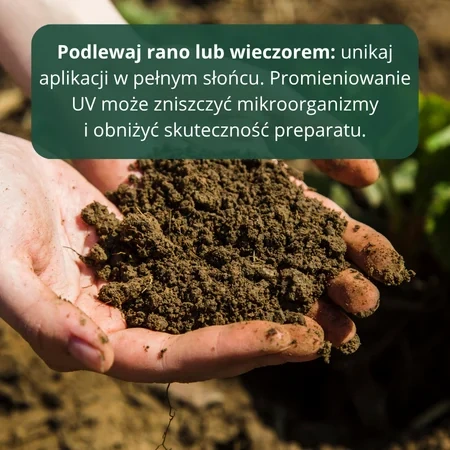Stosowanie wermikompostu w ogrodzie