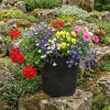 Doniczka czarna OCTAVIA 40x38cm Multy Home