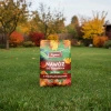 Jesienny nawóz do trawnika z mączką bazaltową – 24 kg (3x8 kg) Vegano