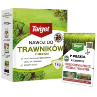 zestaw