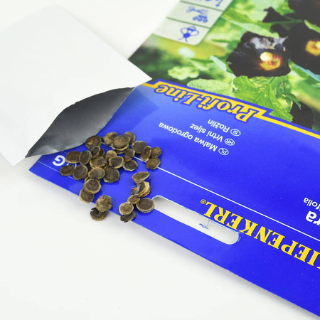 Malwa Ogrodowa 'Nigra' – Kiepenkerl