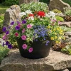 Doniczka czarna OCTAVIA 30x15cm Multy Home