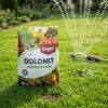 Dolomit w proszku – nawóz do odkwaszania gleby z mikroelementami – 10 kg Target