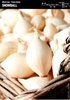 Cebula 'Snowball' – Dymka 250 g