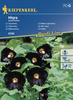 Malwa Ogrodowa 'Nigra' – Kiepenkerl