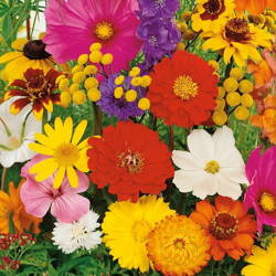 Kwiaty Letnie – Mix Nasion – Kiepenkerl