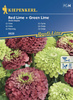 Cynia 'Red Lime' + 'Green Lime' – Kiepenkerl