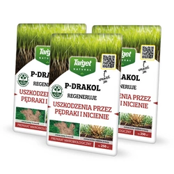 P-Drakol regeneruje trawnik po pędrakach – bakterie do trawnika – 3 x 20 g Target