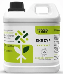 Skrzyp – Naturalny Ekstrakt – 2 l Agrobios