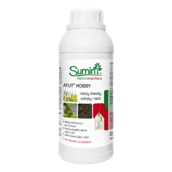 Atut Hobby – Zwalcza Chwasty i Mech – 1 l Sumin