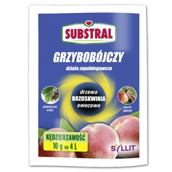 Syllit 65 WP – Zwalcza Choroby Drzew Owocowych – 10 g Substral