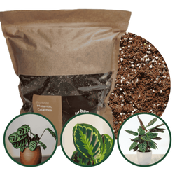 Podłoże do maranty, calathea - bigos 5 l Urban Jungle