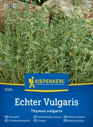 Tymianek – Wieloletni – Kiepenkerl