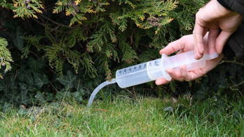 Aplikator Do Mikoryzy