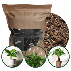 Podłoże do upraw wilgociolubnych 5 L - Urban Jungle